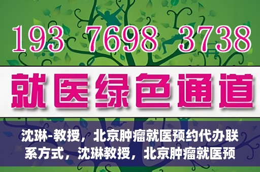 沈琳-教授，北京肿瘤就医预约代办联系方式，沈琳教授，北京肿瘤就医预约代办的权威联系方式揭秘