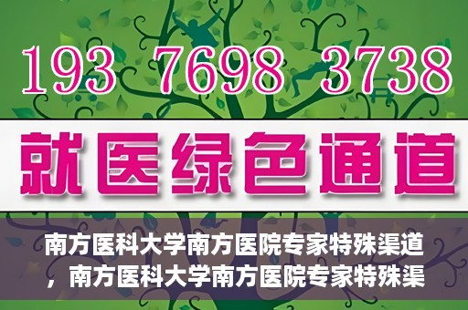 南方医科大学南方医院专家特殊渠道，南方医科大学南方医院专家特殊渠道解析，专业服务的背后故事