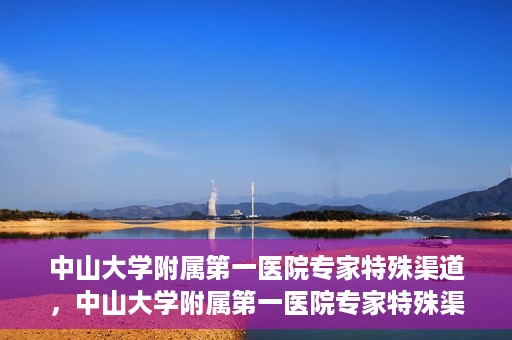 中山大学附属第一医院专家特殊渠道，中山大学附属第一医院专家特殊渠道解析与解读