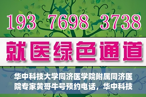 华中科技大学同济医学院附属同济医院专家黄哥牛号预约电话，华中科技大学同济医院专家黄哥牛号预约热线及咨询解析