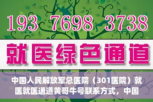 中国人民解放军总医院（301医院）就医就医通道黄哥牛号联系方式，中国人民解放军总医院（301医院）就医通道解析，黄哥牛号联系方式揭秘