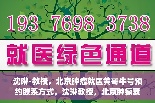沈琳-教授，北京肿瘤就医黄哥牛号预约联系方式，沈琳教授，北京肿瘤就医预约攻略及黄哥牛号联系方式揭秘