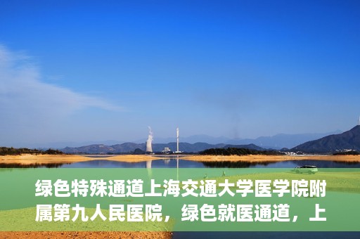 绿色特殊通道上海交通大学医学院附属第九人民医院，绿色就医通道，上海交通大学医学院附属第九人民医院的探索与实践