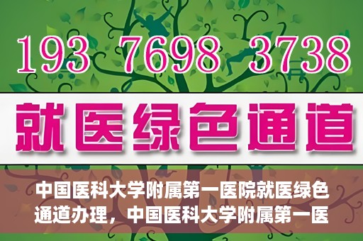 中国医科大学附属第一医院就医绿色通道办理，中国医科大学附属第一医院就医绿色通道办理详解，快速便捷就医体验新篇章