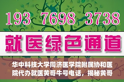 华中科技大学同济医学院附属协和医院代办就医黄哥牛号电话，揭秘黄哥牛号电话背后的华中科技大学同济医学院附属协和医院代办就医服务内幕