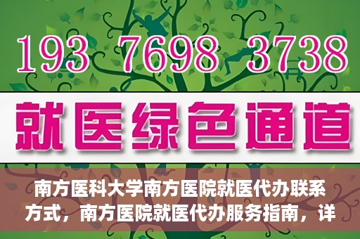 南方医科大学南方医院就医代办联系方式，南方医院就医代办服务指南，详细联系方式解析