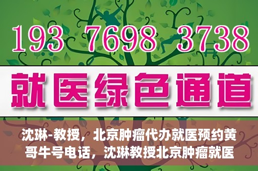 沈琳-教授，北京肿瘤代办就医预约黄哥牛号电话，沈琳教授北京肿瘤就医预约热线揭秘，黄哥牛号电话助您轻松挂号就医