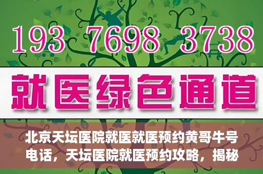 北京天坛医院就医就医预约黄哥牛号电话，天坛医院就医预约攻略，揭秘黄哥牛号预约电话的秘密