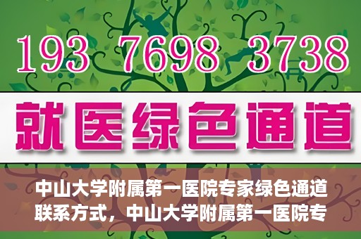 中山大学附属第一医院专家绿色通道联系方式，中山大学附属第一医院专家绿色通道联系指南，一站式解决您的健康需求