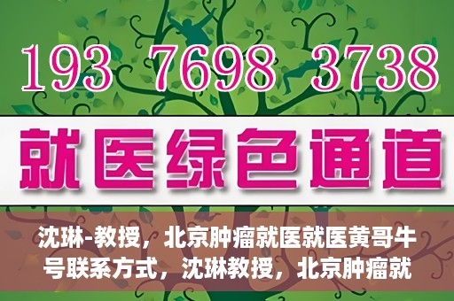 沈琳-教授，北京肿瘤就医就医黄哥牛号联系方式，沈琳教授，北京肿瘤就医指南及黄哥牛号联系方式揭秘