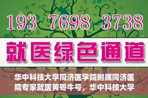 华中科技大学同济医学院附属同济医院专家就医黄哥牛号，华中科技大学同济医院专家解析黄哥牛号背后的医疗奥秘