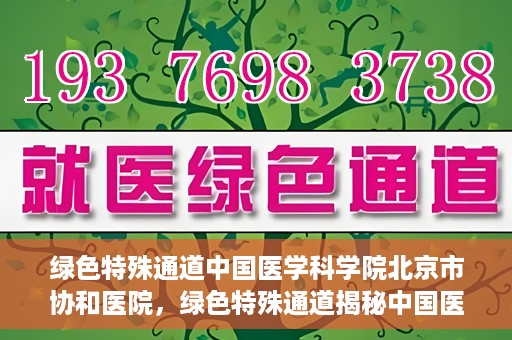 绿色特殊通道中国医学科学院北京市协和医院，绿色特殊通道揭秘中国医学科学院北京市协和医院的力量与担当