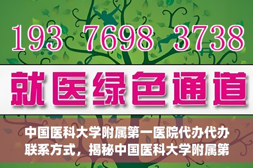 中国医科大学附属第一医院代办代办联系方式，揭秘中国医科大学附属第一医院代办联系方式，权威医疗服务的便捷通道