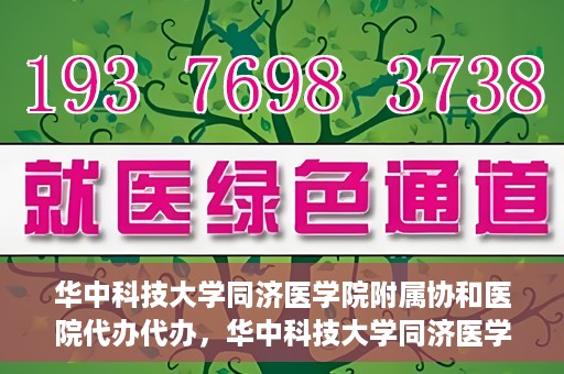 华中科技大学同济医学院附属协和医院代办代办，华中科技大学同济医学院附属协和医院代办事务解析
