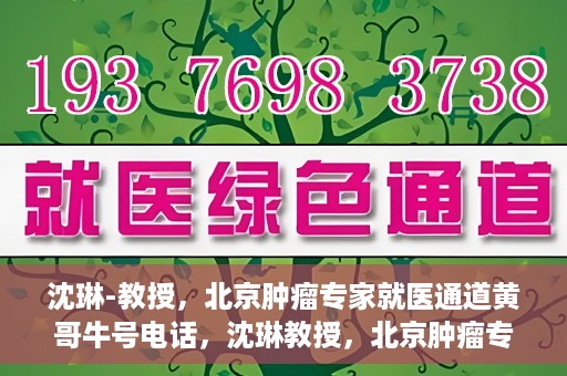 沈琳-教授，北京肿瘤专家就医通道黄哥牛号电话，沈琳教授，北京肿瘤专家就医通道揭秘与黄哥牛号电话热线解读