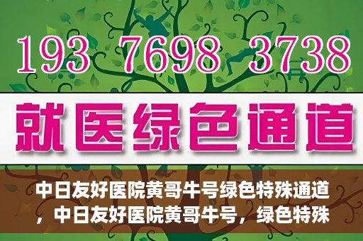 中日友好医院黄哥牛号绿色特殊通道，中日友好医院黄哥牛号，绿色特殊通道开启健康之门