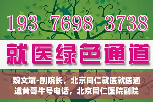 魏文斌-副院长，北京同仁就医就医通道黄哥牛号电话，北京同仁医院副院长魏文斌，就医通道揭秘与黄哥牛号电话解读