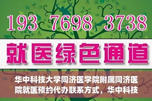 华中科技大学同济医学院附属同济医院就医预约代办联系方式，华中科技大学同济医学院附属同济医院就医预约代办服务指南，一键预约，轻松就医联系渠道全解析