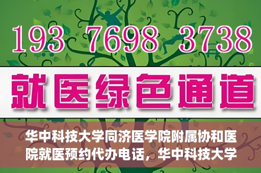 华中科技大学同济医学院附属协和医院就医预约代办电话，华中科技大学同济医学院附属协和医院就医预约代办服务热线详解