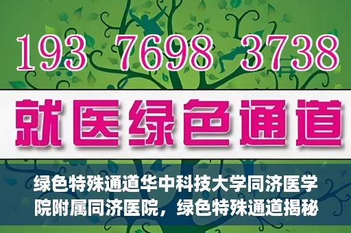 绿色特殊通道华中科技大学同济医学院附属同济医院，绿色特殊通道揭秘，华中科技大学同济医学院附属同济医院的探索之路