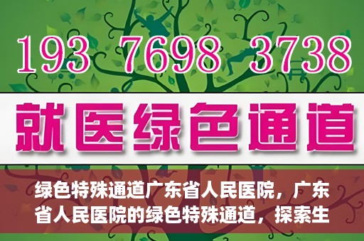 绿色特殊通道广东省人民医院，广东省人民医院的绿色特殊通道，探索生命的新路径