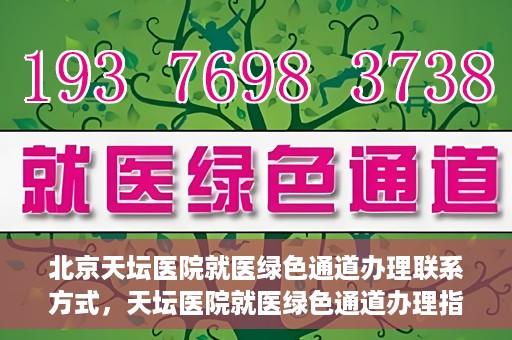 北京天坛医院就医绿色通道办理联系方式，天坛医院就医绿色通道办理指南，快速联系方式与办理流程解析