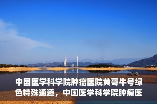 中国医学科学院肿瘤医院黄哥牛号绿色特殊通道，中国医学科学院肿瘤医院黄哥牛号，绿色特殊通道开启健康之门