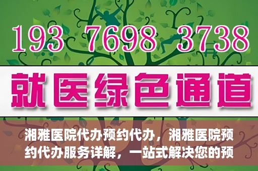 湘雅医院代办预约代办，湘雅医院预约代办服务详解，一站式解决您的预约难题