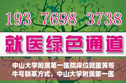 中山大学附属第一医院床位就医黄哥牛号联系方式，中山大学附属第一医院床位就医攻略，黄哥牛号联系方式揭秘