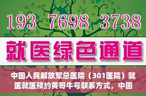 中国人民解放军总医院（301医院）就医就医预约黄哥牛号联系方式，中国人民解放军总医院（301医院）黄哥就医预约指南及联系方式全解析