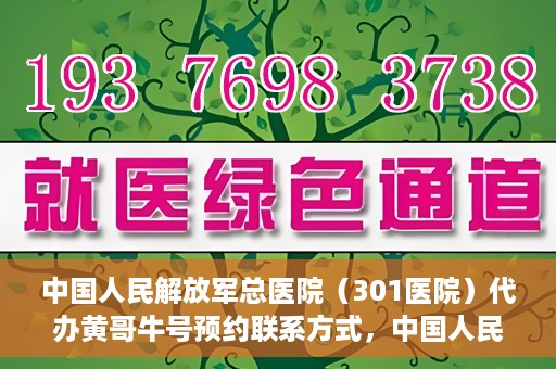 中国人民解放军总医院（301医院）代办黄哥牛号预约联系方式，中国人民解放军总医院（301医院）黄哥牛号预约联系方式全解析