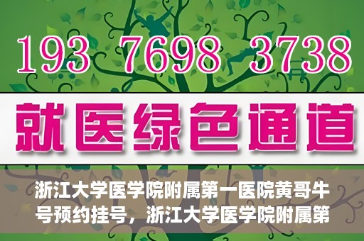 浙江大学医学院附属第一医院黄哥牛号预约挂号，浙江大学医学院附属第一医院黄哥牛号预约挂号攻略详解