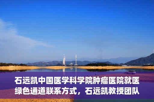 石远凯中国医学科学院肿瘤医院就医绿色通道联系方式，石远凯教授团队就医绿色通道联系方式——中国医学科学院肿瘤医院就医指南