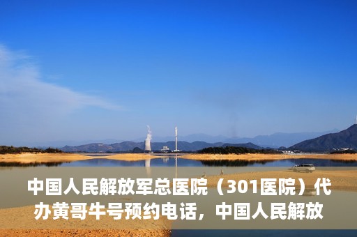 中国人民解放军总医院（301医院）代办黄哥牛号预约电话，中国人民解放军总医院（301医院）黄哥牛号预约电话代办服务详解