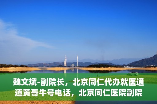 魏文斌-副院长，北京同仁代办就医通道黄哥牛号电话，北京同仁医院副院长魏文斌与就医通道黄哥牛号电话揭秘