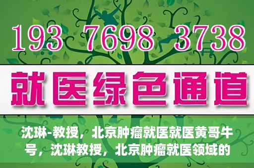 沈琳-教授，北京肿瘤就医就医黄哥牛号，沈琳教授，北京肿瘤就医领域的权威解读与黄哥牛号就医指南
