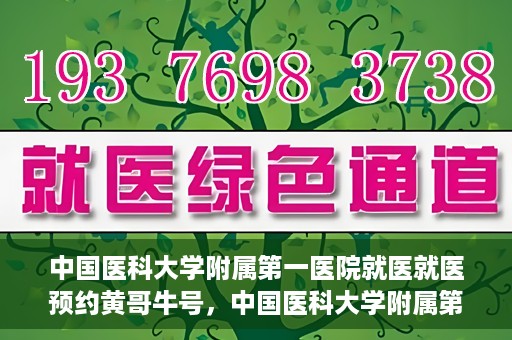 中国医科大学附属第一医院就医就医预约黄哥牛号，中国医科大学附属第一医院就医预约黄哥牛号，一站式便捷医疗体验新选择