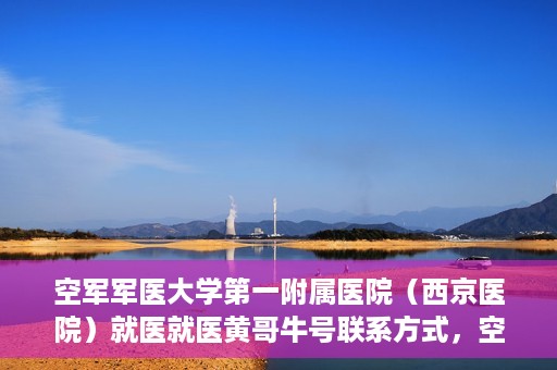 空军军医大学第一附属医院（西京医院）就医就医黄哥牛号联系方式，空军军医大学第一附属医院（西京医院）就医指南及黄哥牛号联系方式揭秘