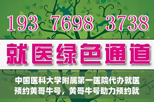 中国医科大学附属第一医院代办就医预约黄哥牛号，黄哥牛号助力预约就医，中国医科大学附属第一医院代办服务解析