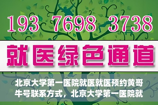 北京大学第一医院就医就医预约黄哥牛号联系方式，北京大学第一医院就医预约指南，黄哥牛号联系方式全解析