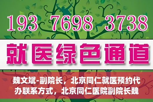 魏文斌-副院长，北京同仁就医预约代办联系方式，北京同仁医院副院长魏文斌，预约代办流程及联系方式解析