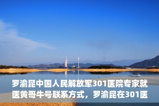 罗渝昆中国人民解放军301医院专家就医黄哥牛号联系方式，罗渝昆在301医院的健康守护者，黄哥牛号联系方式揭秘