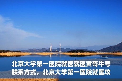 北京大学第一医院就医就医黄哥牛号联系方式，北京大学第一医院就医攻略，黄哥牛号联系方式全解析