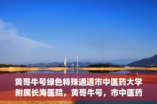 黄哥牛号绿色特殊通道市中医药大学附属长海医院，黄哥牛号，市中医药大学附属长海医院开启绿色特殊通道助力健康事业