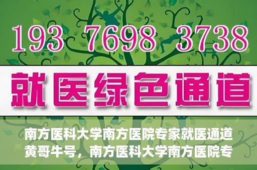 南方医科大学南方医院专家就医通道黄哥牛号，南方医科大学南方医院专家就医通道揭秘，黄哥牛号引领健康之路
