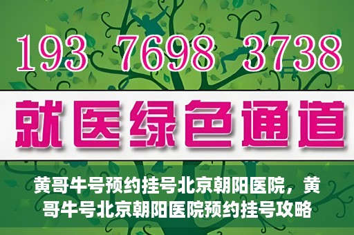 黄哥牛号预约挂号北京朝阳医院，黄哥牛号北京朝阳医院预约挂号攻略