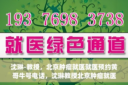 沈琳-教授，北京肿瘤就医就医预约黄哥牛号电话，沈琳教授北京肿瘤就医预约热线揭秘，黄哥牛号电话助您轻松挂号就医