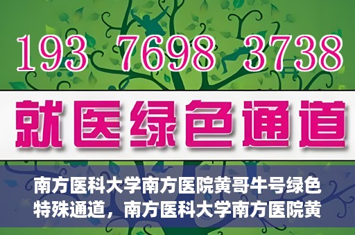 南方医科大学南方医院黄哥牛号绿色特殊通道，南方医科大学南方医院黄哥牛号，绿色特殊通道开启健康之门