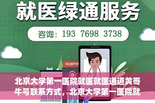 北京大学第一医院就医就医通道黄哥牛号联系方式，北京大学第一医院就医通道详解，黄哥牛号联系方式揭秘