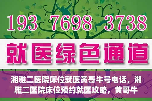 湘雅二医院床位就医黄哥牛号电话，湘雅二医院床位预约就医攻略，黄哥牛号电话全解析